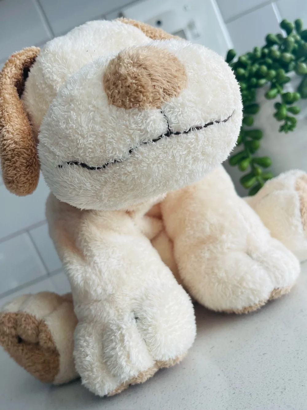 Ty Pluffies Plopper